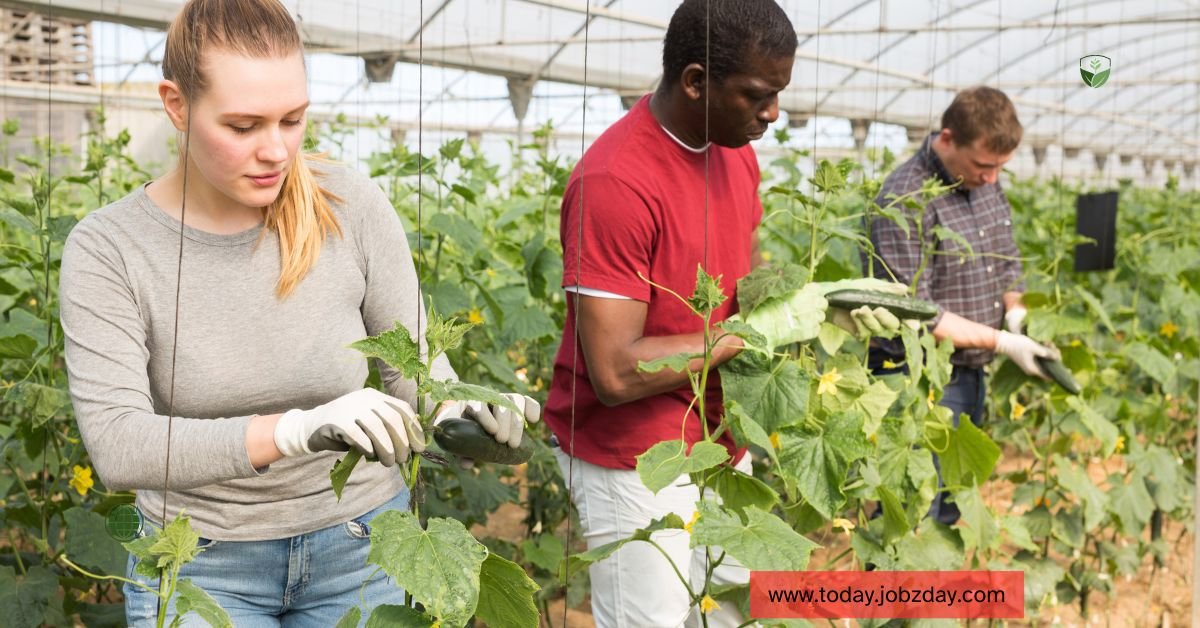General Farm Worker Jobs in Canada