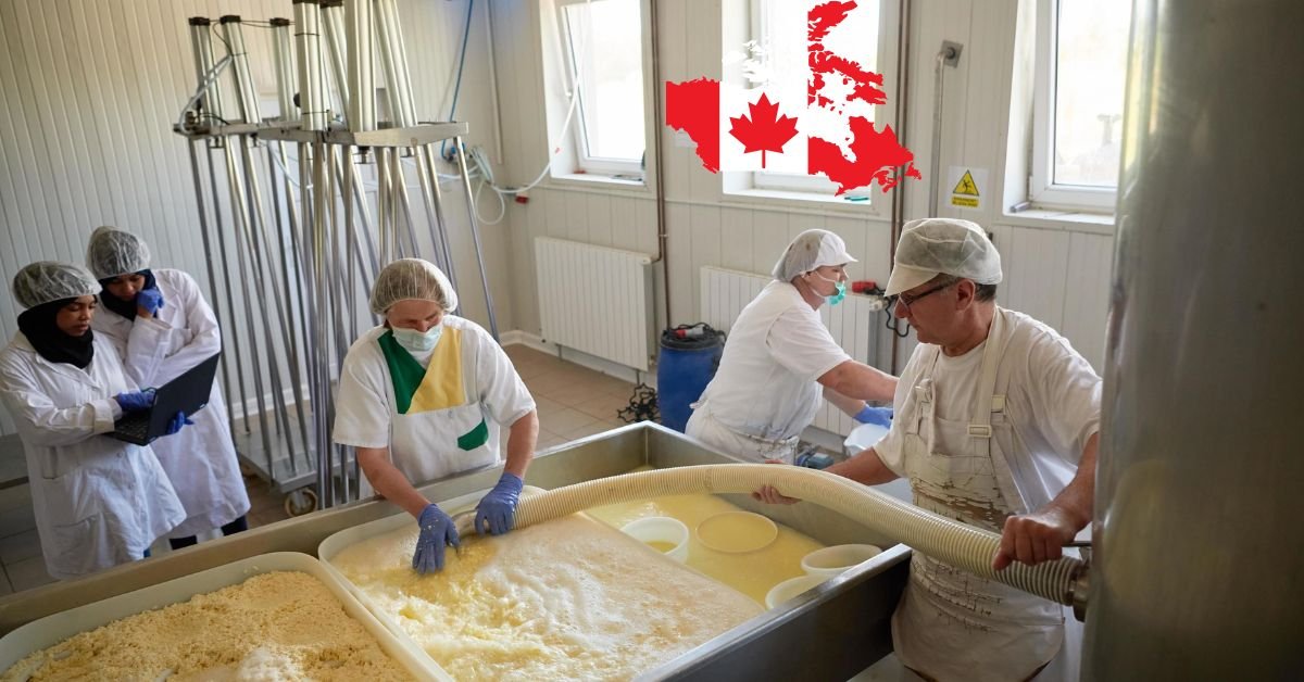 Factory Worker Jobs in Canada